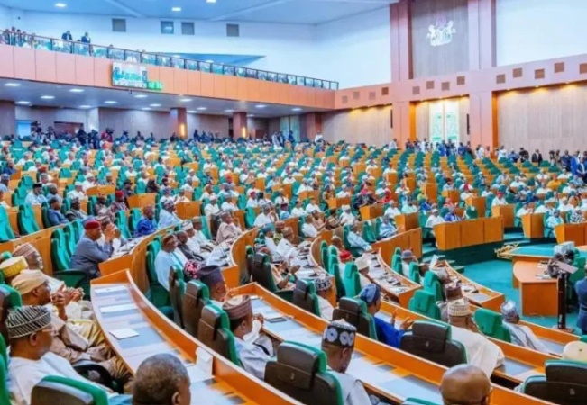 Reps move to provide legal backing for Nigeria’s decarbonisation plan